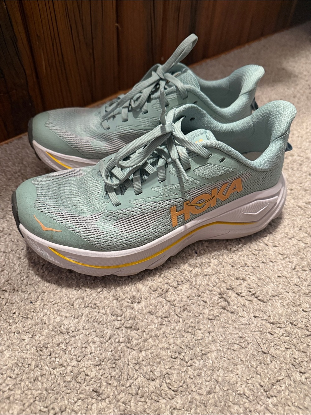 Hoka Challenger 8